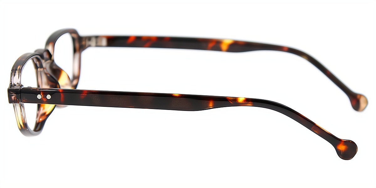 Tortoise Geometric Retro Plastic Eyeglasses