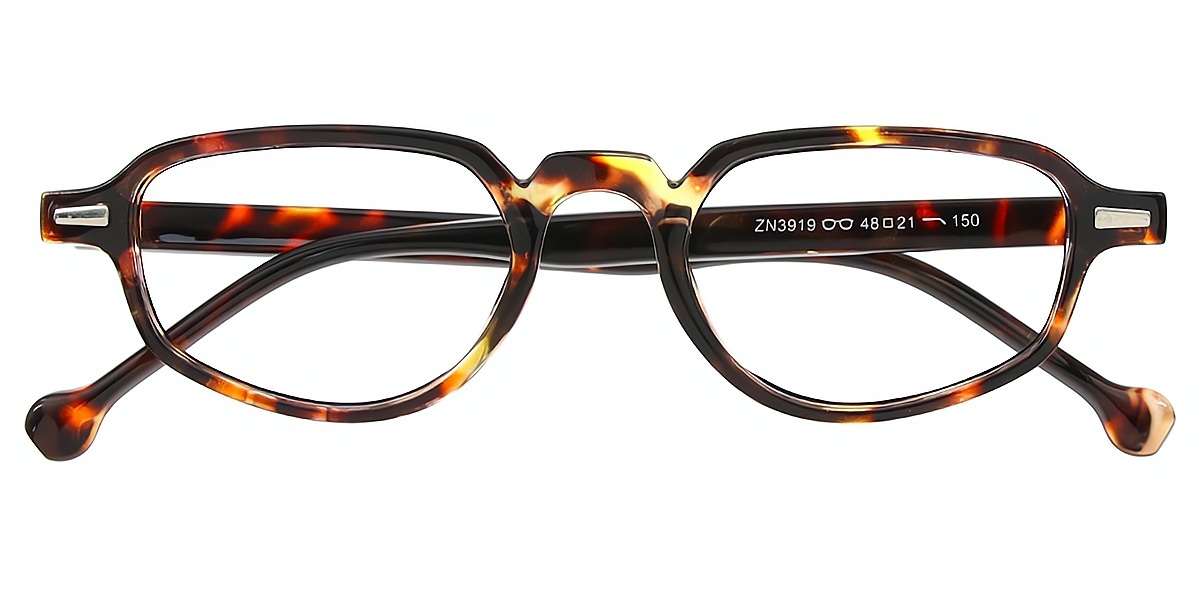 Tortoise Geometric Retro Plastic Eyeglasses
