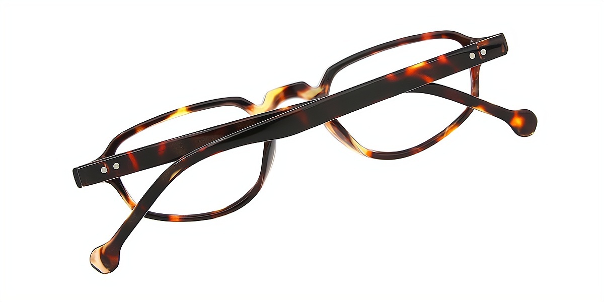 Tortoise Geometric Retro Plastic Eyeglasses