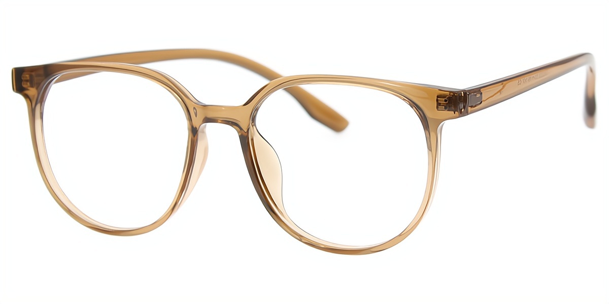Brown Horn Simple Oversized TR90 Eyeglasses