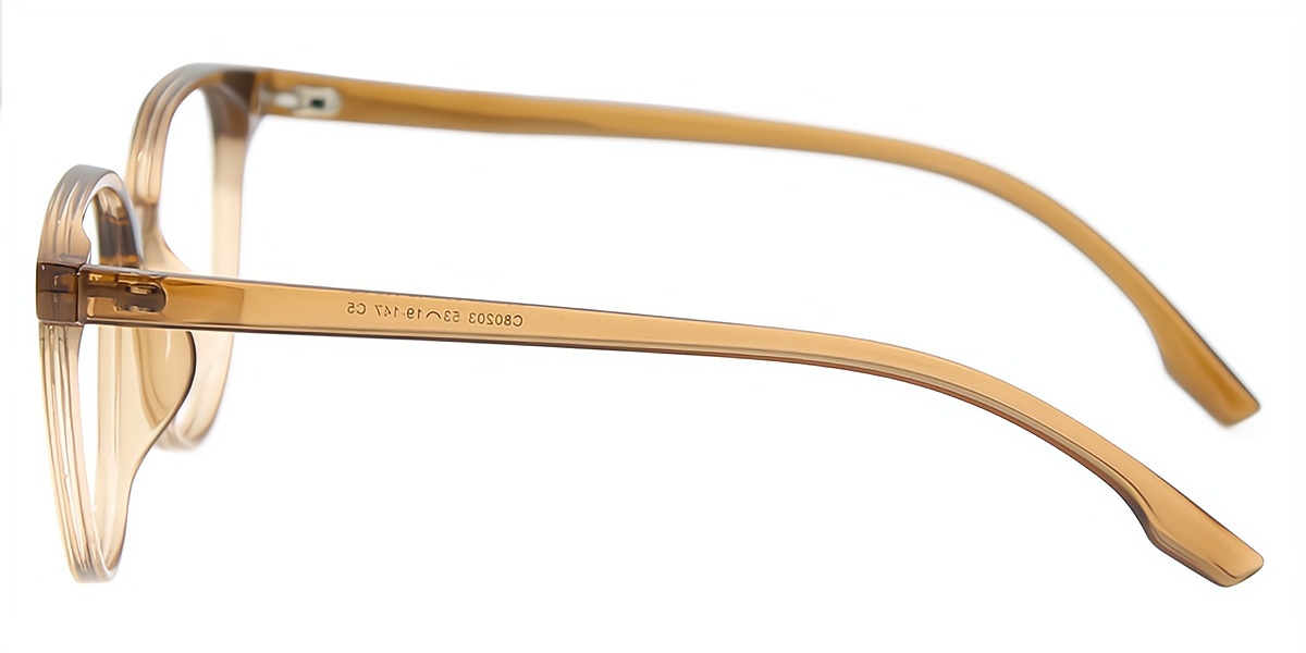 Brown Horn Simple Oversized TR90 Eyeglasses