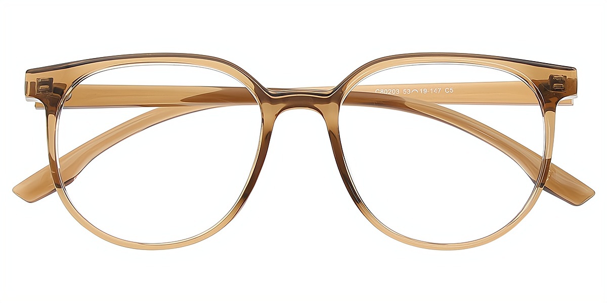 Brown Horn Simple Oversized TR90 Eyeglasses