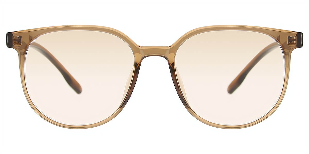 Brown Horn Simple Oversized TR90 Eyeglasses