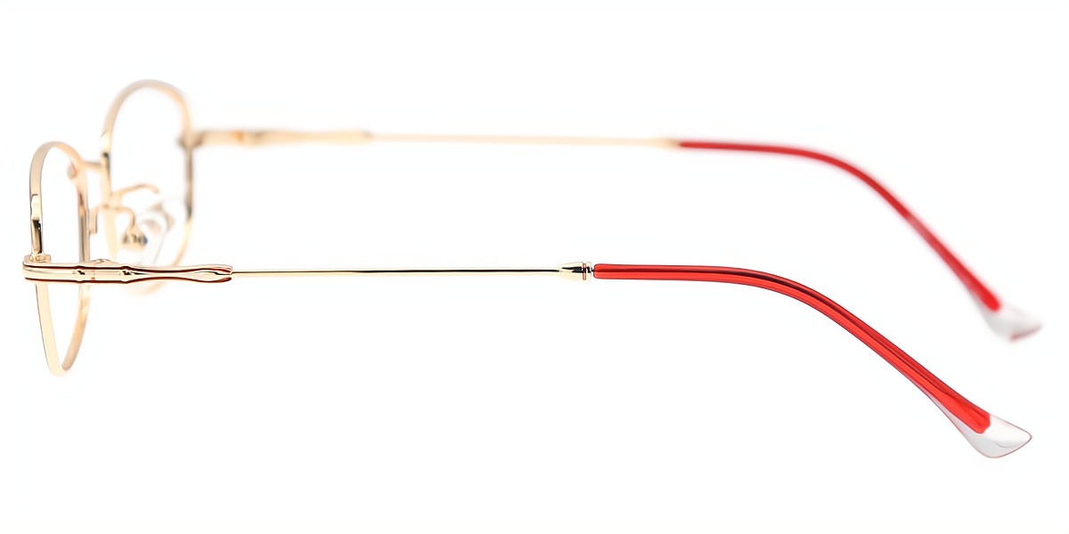 Red Oval Elaborate Metal Eyeglasses