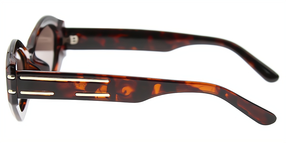 Tortoise Geometric Modish Plastic Eyeglasses