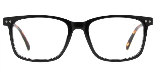 Horn Eyeglasses