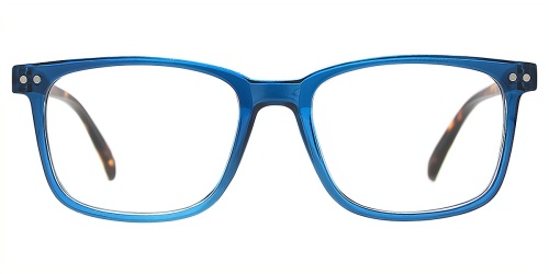 Horn Eyeglasses