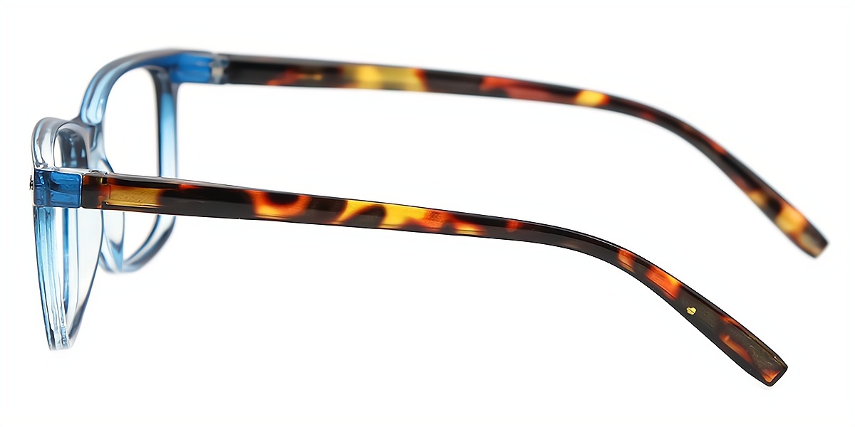 Blue Horn Retro Simple Plastic Eyeglasses