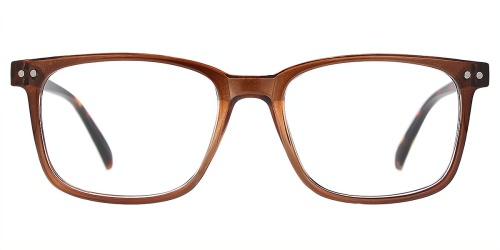 Horn Eyeglasses