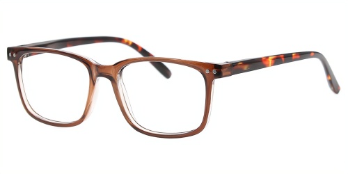 Horn Eyeglasses