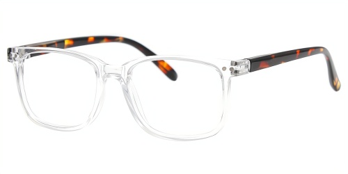 Horn Eyeglasses