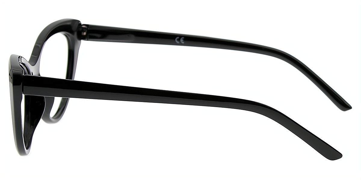Black Cat Eye Retro Plastic Eyeglasses