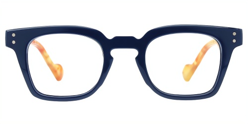 Horn Eyeglasses