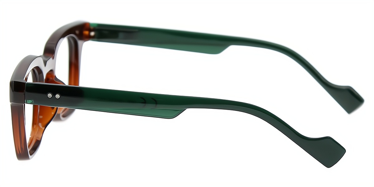 Brown Horn Retro Plastic Eyeglasses