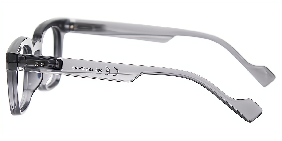 Gray Horn Retro Plastic Eyeglasses