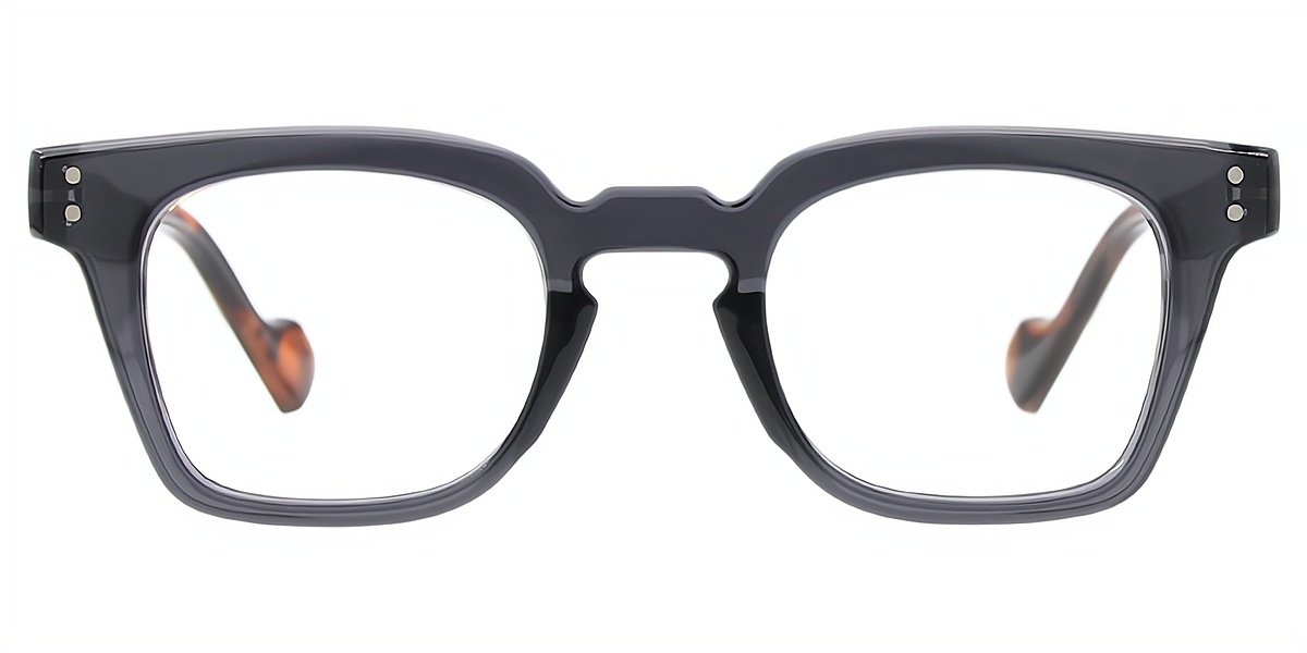 Mix Horn Retro Plastic Eyeglasses