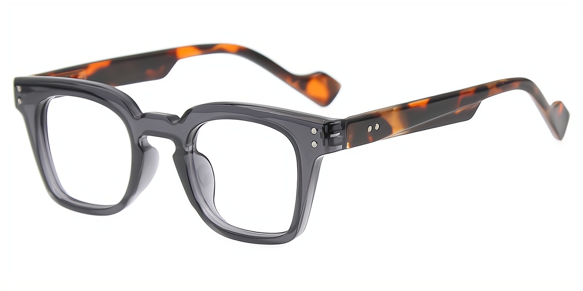 Mix Horn Retro Plastic Eyeglasses