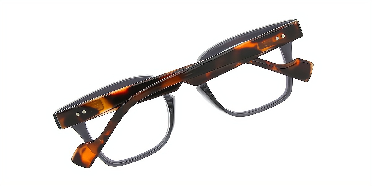 Mix Horn Retro Plastic Eyeglasses