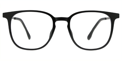 Horn Eyeglasses
