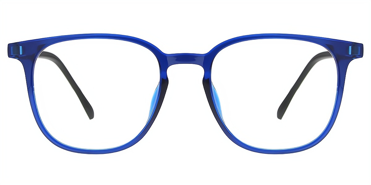 Blue Horn Simple Mixed Materials Eyeglasses
