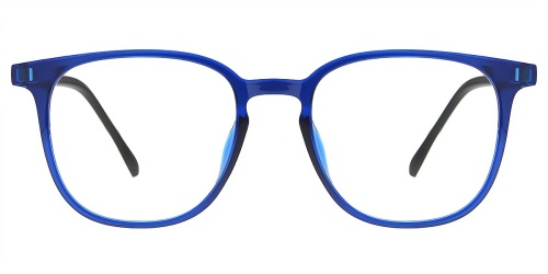 Horn Eyeglasses