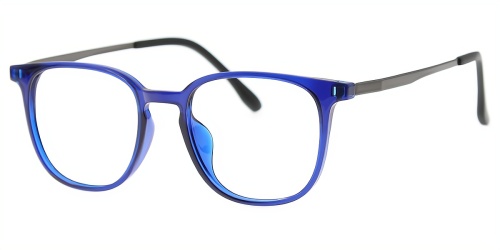 Horn Eyeglasses