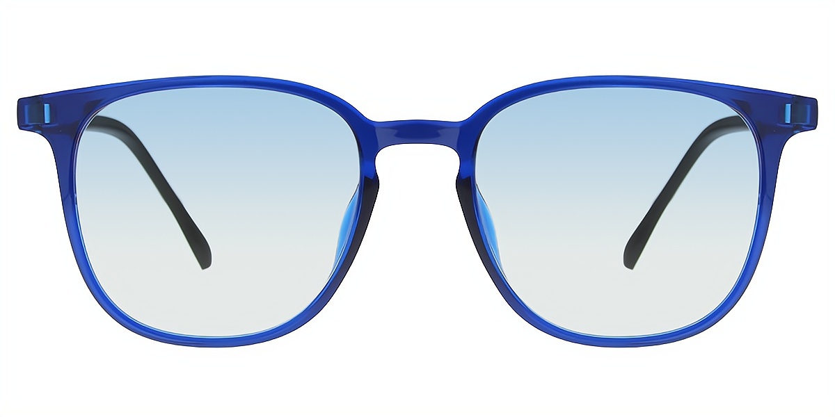 Blue Horn Simple Mixed Materials Eyeglasses