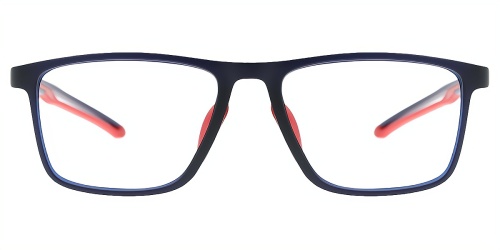 Horn Eyeglasses