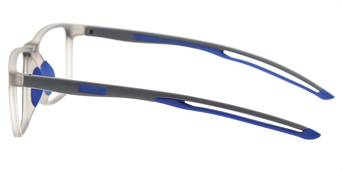 Gray Horn Chic Plastic Eyeglasses