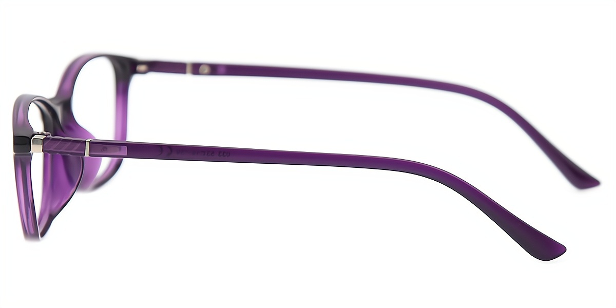 Purple Oval Simple Plastic Eyeglasses