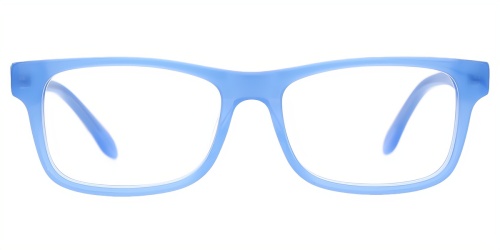 Horn Eyeglasses