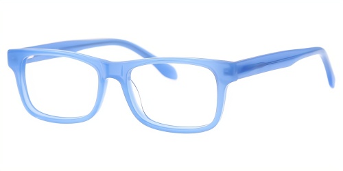 Horn Eyeglasses