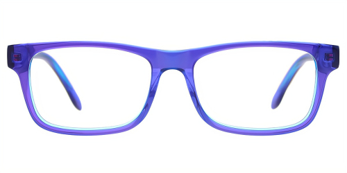 Horn Eyeglasses