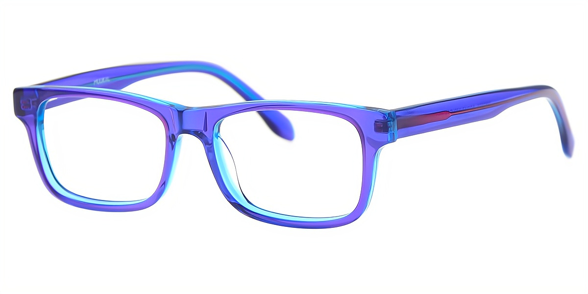 Purple Horn Elegant Acetate Eyeglasses