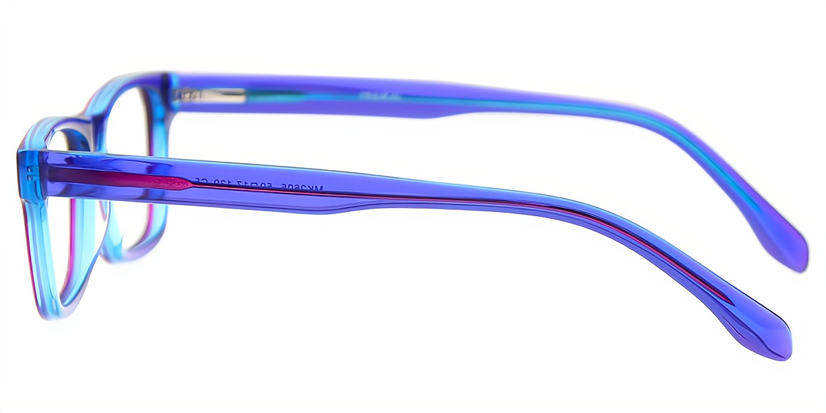 Purple Horn Elegant Acetate Eyeglasses