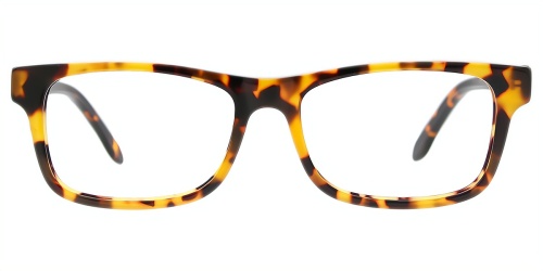 Horn Eyeglasses