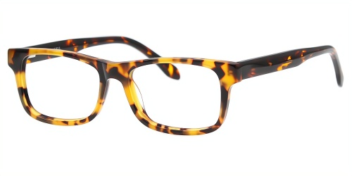 Horn Eyeglasses
