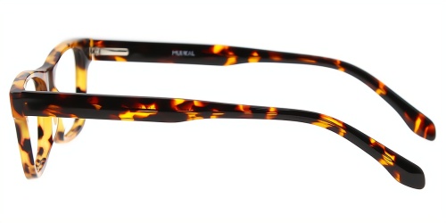 glasses picture