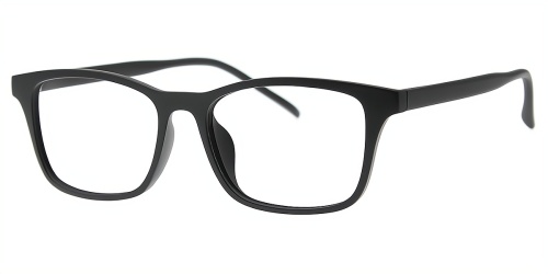 Horn Eyeglasses