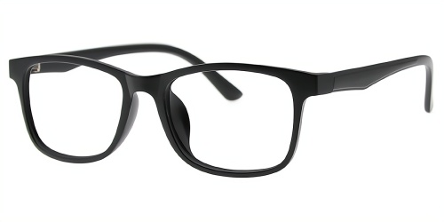 Horn Eyeglasses