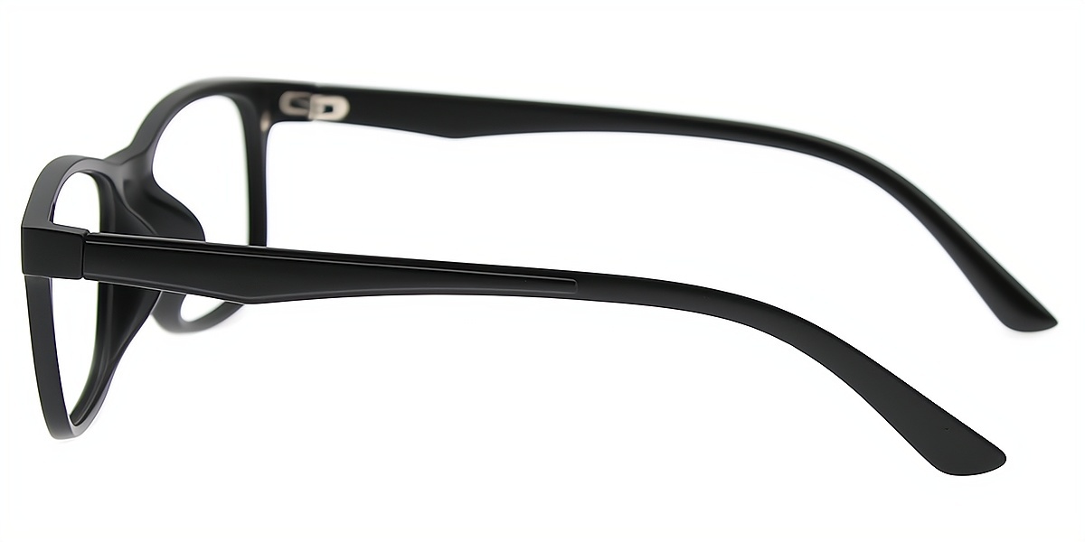 Black Horn Classic TR90 Eyeglasses