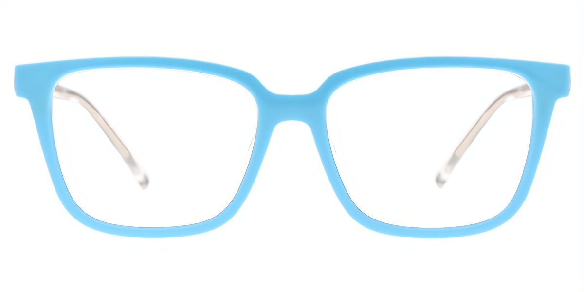 Clear Cat Eye Simple TR90 Eyeglasses