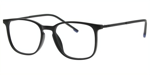 Horn Eyeglasses