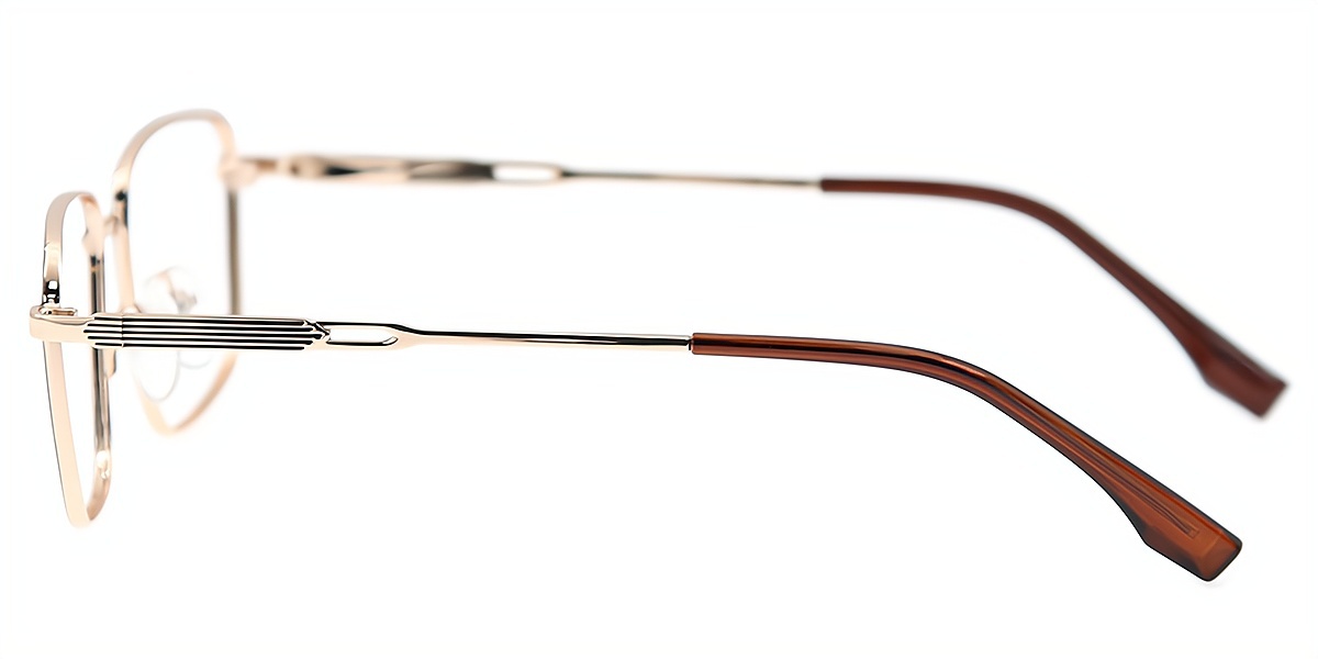 Brown Rectangle Classic Metal Eyeglasses