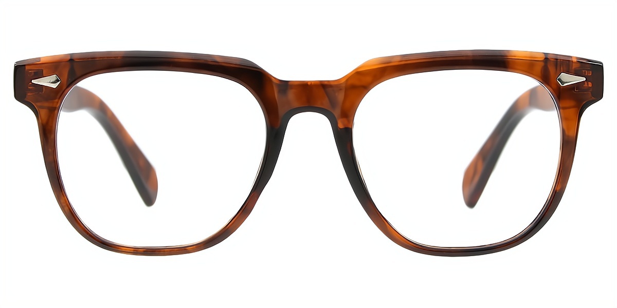 Tortoise Horn Retro TR90 Eyeglasses