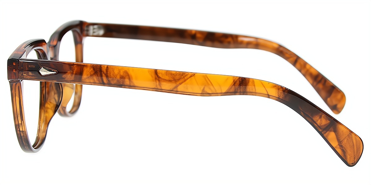 Tortoise Horn Retro TR90 Eyeglasses