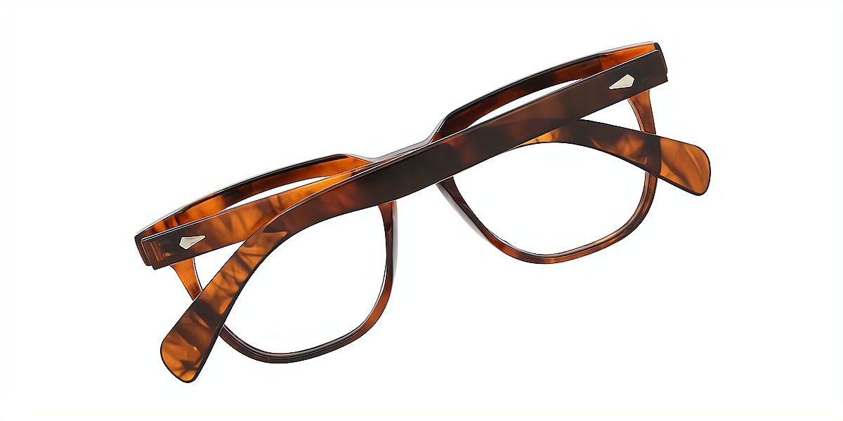 Tortoise Horn Retro TR90 Eyeglasses