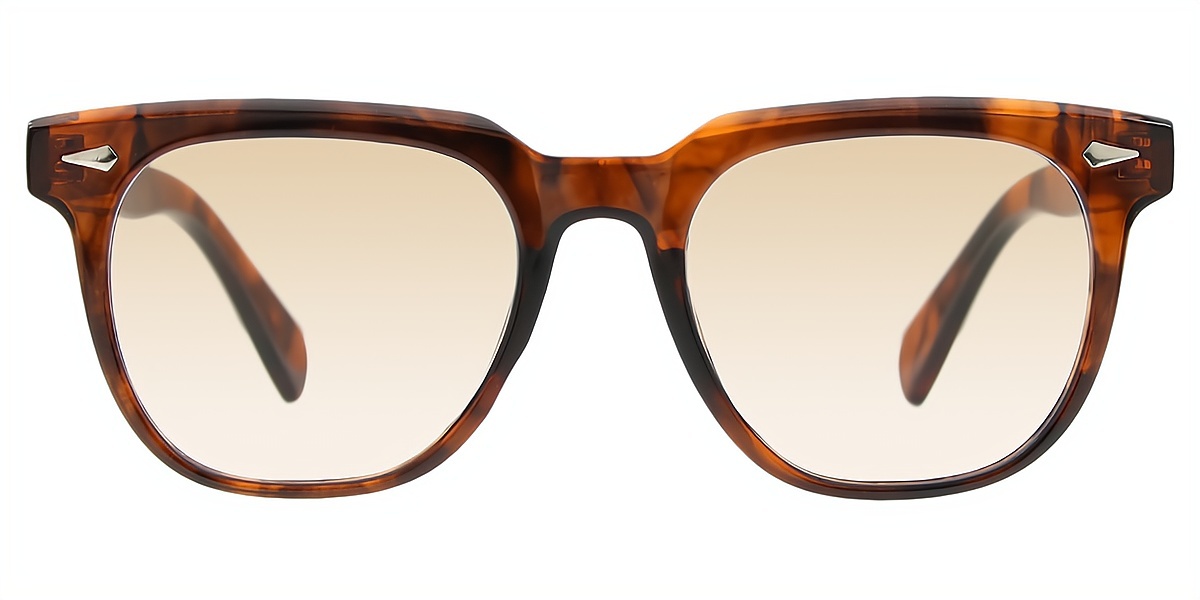 Tortoise Horn Retro TR90 Eyeglasses