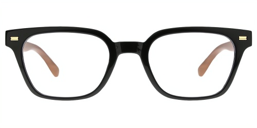 Horn Eyeglasses