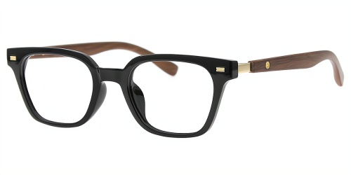 Horn Eyeglasses